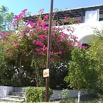 Anastasia's Garden Apartamento