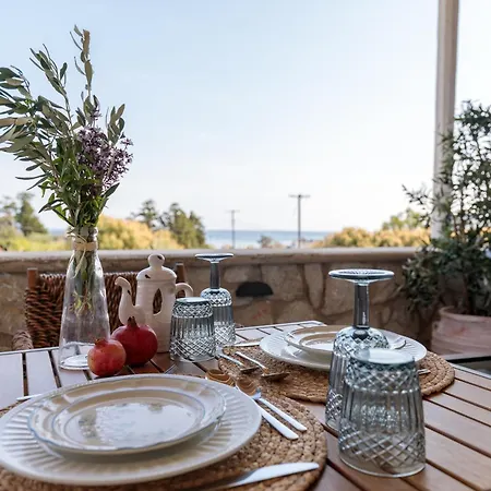 Anastasia's Garden *